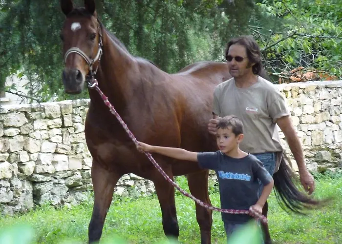 Pigeonnier-four A Pain Feriehus