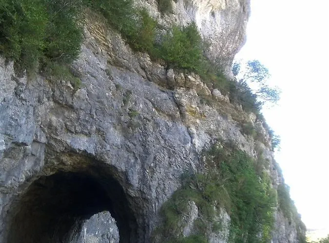 Pigeonnier-four A Pain * Cazals (Lot)