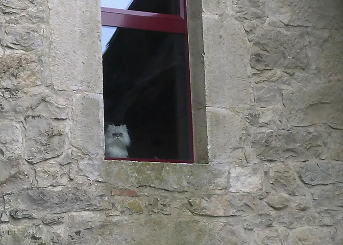 Pigeonnier-four A Pain Feriehus *